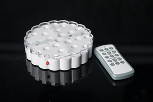 Centerpiece light