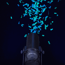 Confetti canon rental